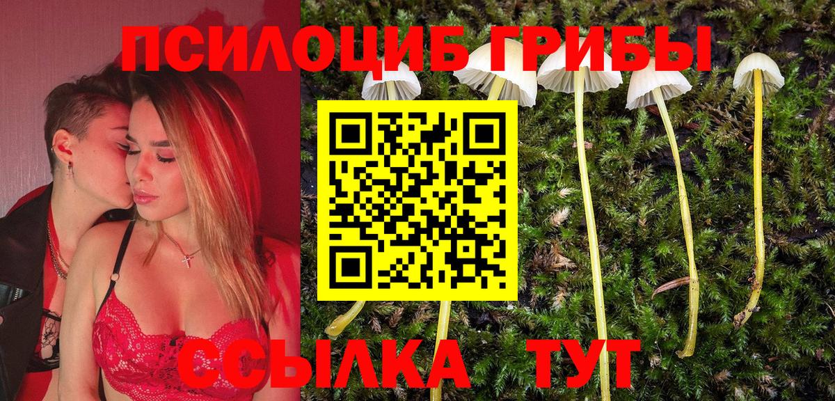 Кувандык  Псилоцибиновые грибы ЛСД  Вход с VPN 