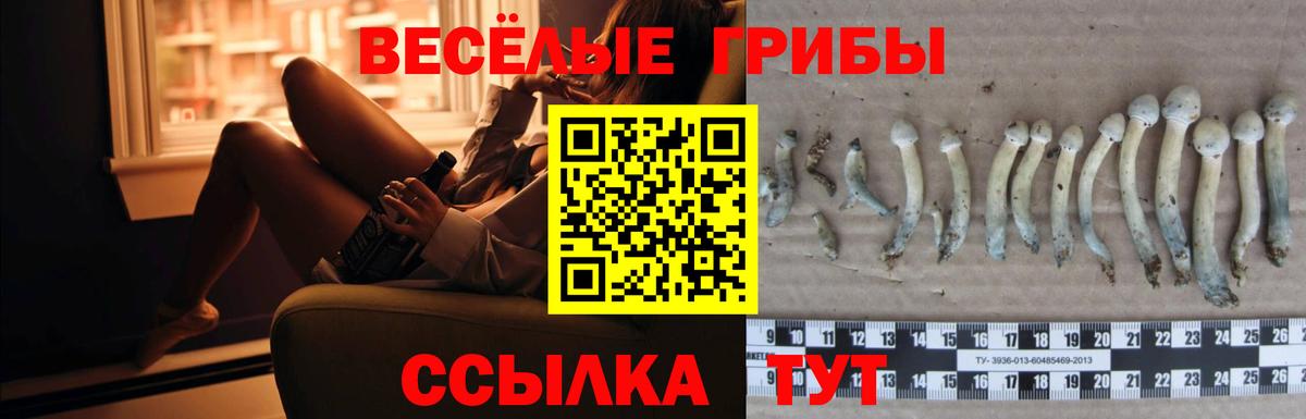 Галлюциногенные грибы Magic Shrooms Кувандык
